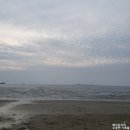 청년정육점 영등점 | 돼지공주 10월 일상, 바쁘다 바빠!
