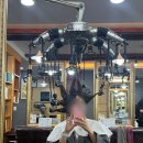 안테나헤어# - 부천시 원미구 | 신중동 미용실 안테나헤어 내돈내산 매직세팅
