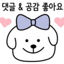 마카롱조아