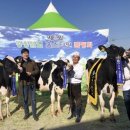 삼민목장 이미지