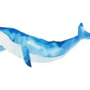 춘천전통69닭갈비 이미지