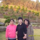 홍천초등학교 이미지