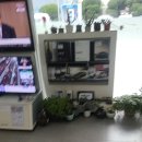 무안자동차정비공업사 이미지