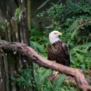 암 재활 이미지