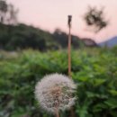 한라시티부동산공인중개사사무소 이미지