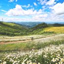 좋은글방 이미지