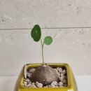 예운농장 이미지