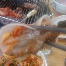 꼴통돼지 이미지