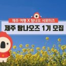 탐나민박 이미지