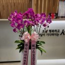 마포스즈키음악학원 | 제1회 둔촌 포레 온 스즈키 정기연주회 공연 후기 강남구 강동구 송파구 한신 악기사