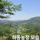 파도농장 이미지