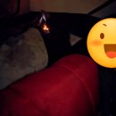 한국도로공사 앞-A(좌측) | 안산, 대부도 비치캠핑장 A-1 프라이빗한 공간에서 내돈내산 캠핑후기