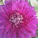 당감119안전센터 이미지