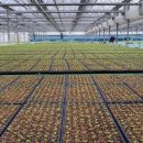 청양군농업기술센터 이미지