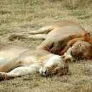 리우한의원 이미지