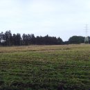 효성목장 이미지