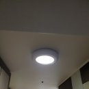LED미 이미지