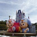 왈라루하우스 | 대전 오월드 동물원과 놀이동산을 함께 즐길 수 있는 곳