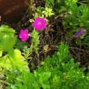 오늘도 남해 이미지