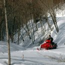 모빌랜드 이미지