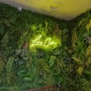 루나코인노래연습장 이미지