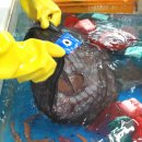 맛있는 클라쓰 이미지