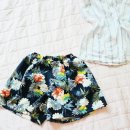 트로피칼 이미지