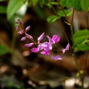 계곡면보건지소 이미지