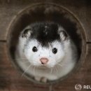 상춘농장 이미지