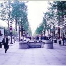 샹제리제 이미지