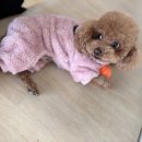 어썸9
