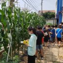 익산초등학교 이미지