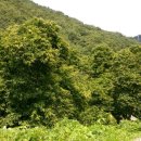 청도농장 이미지