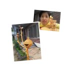 명숙야채