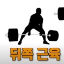 아시아 짐 이미지