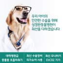 성경완 동물병원 이미지