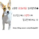 김영희강남동태찜 화명점 이미지