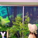 반디공구 | 전북 무주 아이와 가볼만한곳 야밤도주 야시장 반딧불이 곤충 축제