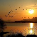 주남저수지 이미지