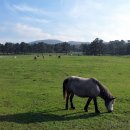 월정축산 이미지