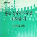 풀밭나라 이미지