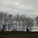 광진정보도서관 이미지