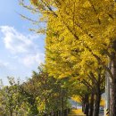 구암마을진입로 이미지