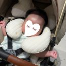 쭈니차니몰