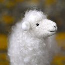 가나안이불 이미지