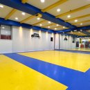 한국체대 키즈 태권도 이미지