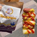 송포목장 | 240512 - 240513 남해 사천