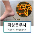 더존 동물병원 이미지