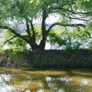 우포늪주차장 이미지