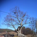 구송산 이미지